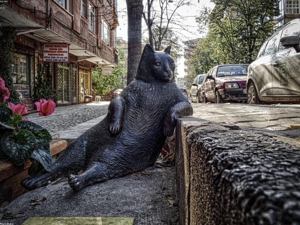 ការផ្តល់ជូនពិសេស: វិធីសាស្រ្តដើម្បីទទួលបានអត្ថប្រយោជន៍